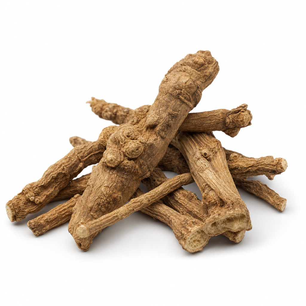 Gentian Root