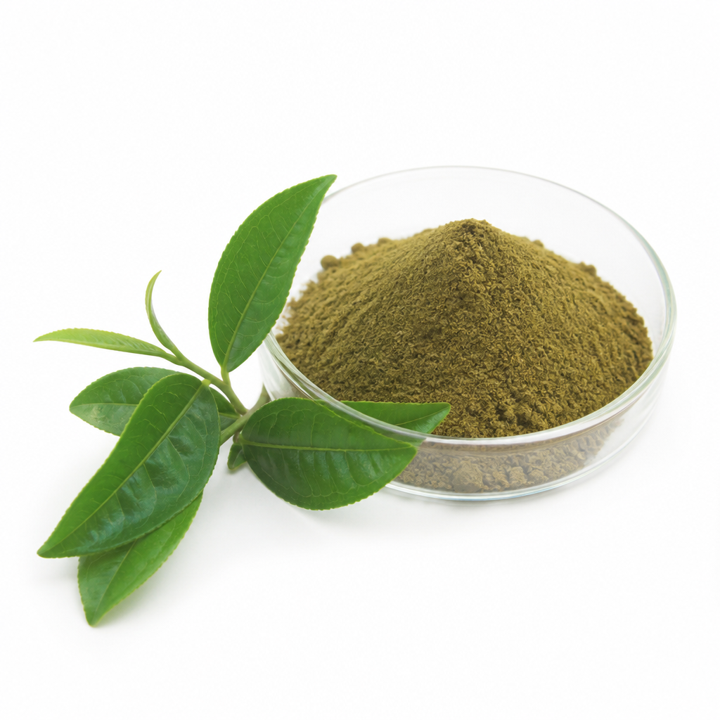 Green Tea Extract