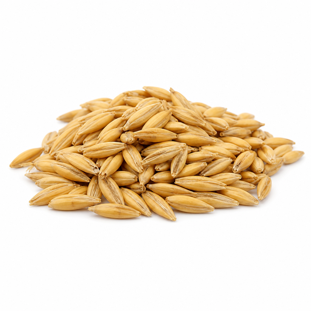 Oat (seed)